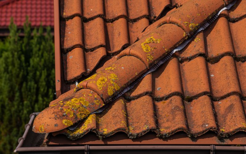 Neglecting Roof Maintenance