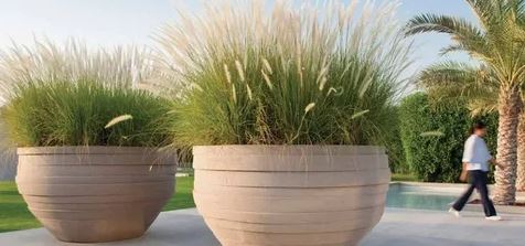 Two large planters filled with lush green grass, enhancing the outdoor aesthetic of the space.