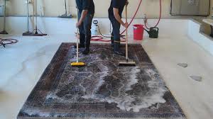 Quick and Effective Ways to Dry an Area Rug After Cleaning