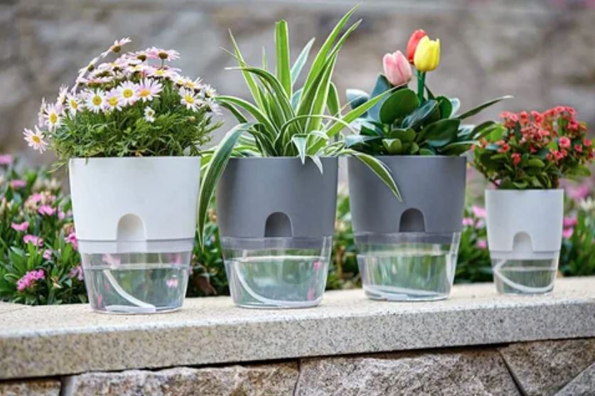 Four pots containing various plants arranged on a textured stone wall, showcasing a blend of greenery and natural materials.