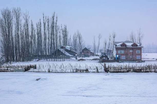 Visit in Kashmir