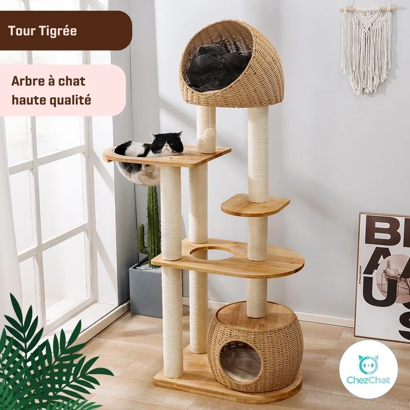 Quelles options de conception sont disponibles pour les arbres à chat en bois ?