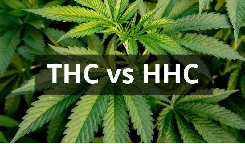 What Is the Difference Between THC and HHC