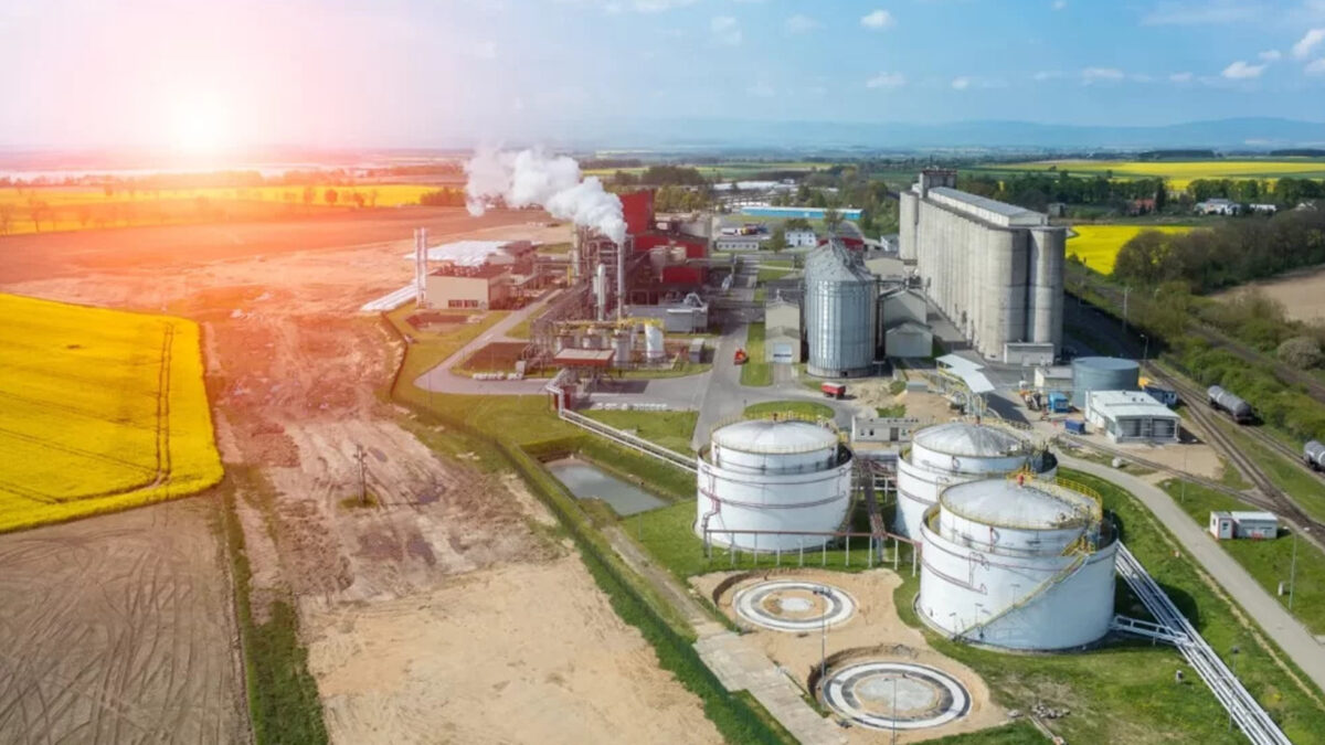 The Importance of a Biofuel Plant Manufacturer in the Global Renewable Energy Market