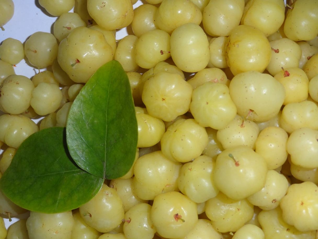 amla indian gooseberry