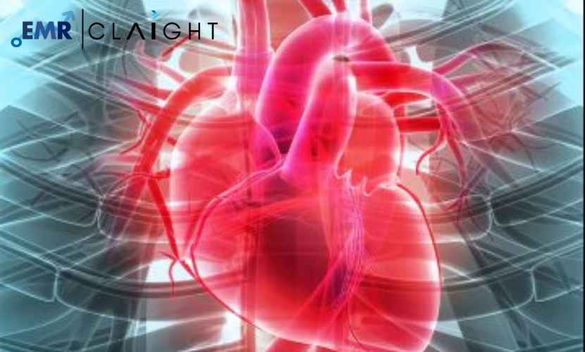 Cardiac Biomarkers Market: Trends, Key Players & Growth Forecast