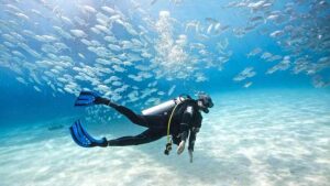 Scuba Diving Equipment