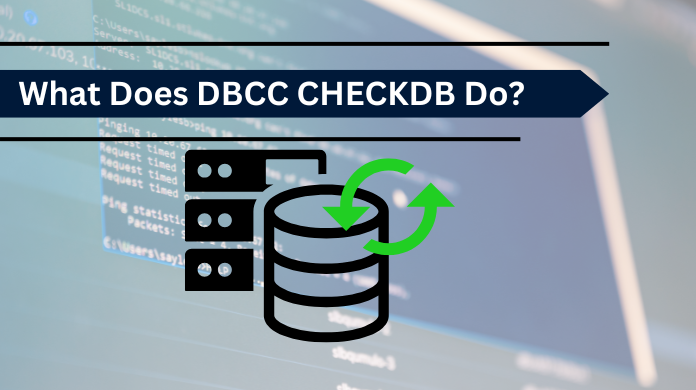 What Does DBCC CHECKDB Do? A Complete Guide