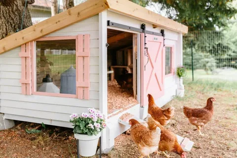 chicken coop for sale