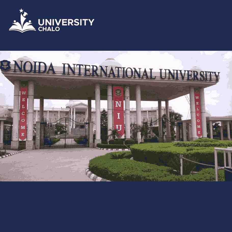 Unlock Your Future: Why Noida International University is the Gateway to Success