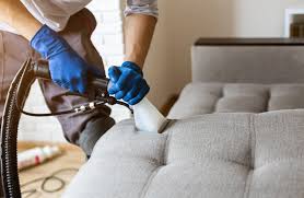 How Carpet and Upholstery Cleaning Saves Money in the Long Run for Staten Island Homeowners