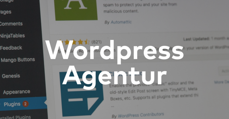 wordpress agentur braunschweig