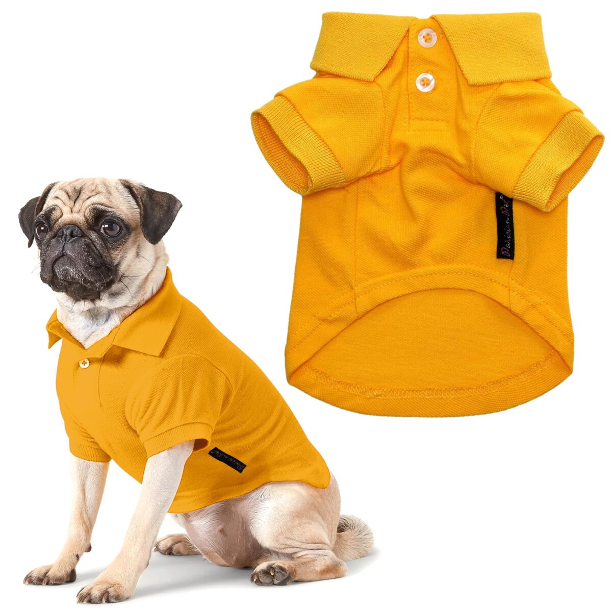 Keep Your Dog Cool and Comfortable with a Dog Polo Shirt