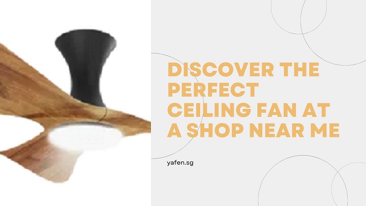 Discover the Perfect Ceiling Fan at a Shop Near Me