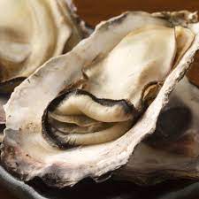 Global Oyster Market: A Deep Dive into Size, Share, Trends, and Forecast by 2032