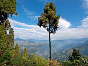 takdah view point