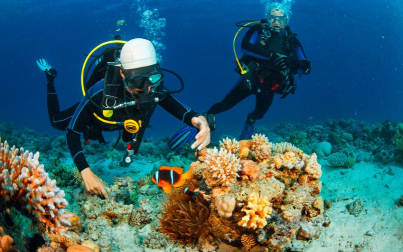 Explore The 5 Best Dive Sites in Seychelles