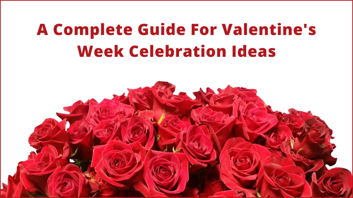 Valentine's Week Celebration Ideas