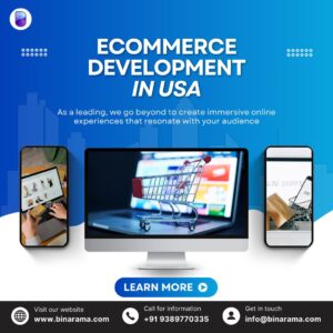 ecommerce development in usa