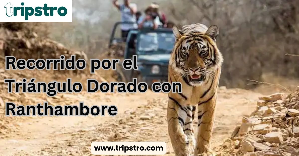 Recorrido por el Triángulo Dorado con Ranthambore