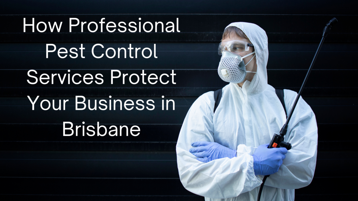 How Professional Pest Control Services Protect Your Business in Brisbane