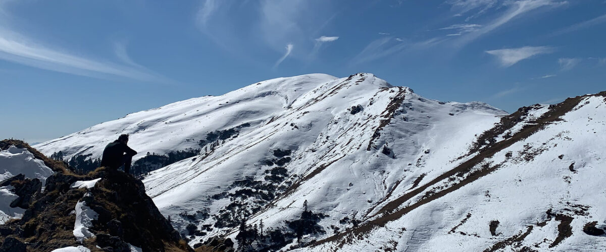 Scenic view of Dayara Bugyal Trek with lush meadows and snow-capped Himalayan peaks.