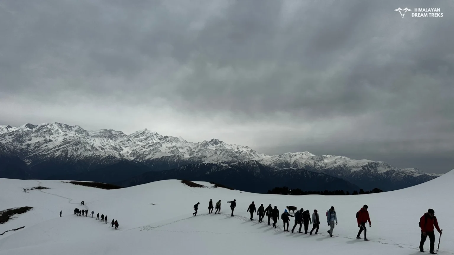 Pristine trails through snow on the way to Dayara Bugyal.