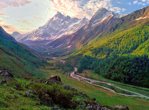 Golden sunrise over Har Ki Dun valley, casting a warm glow on vibrant alpine flowers and lush green meadows in the Himalayas.