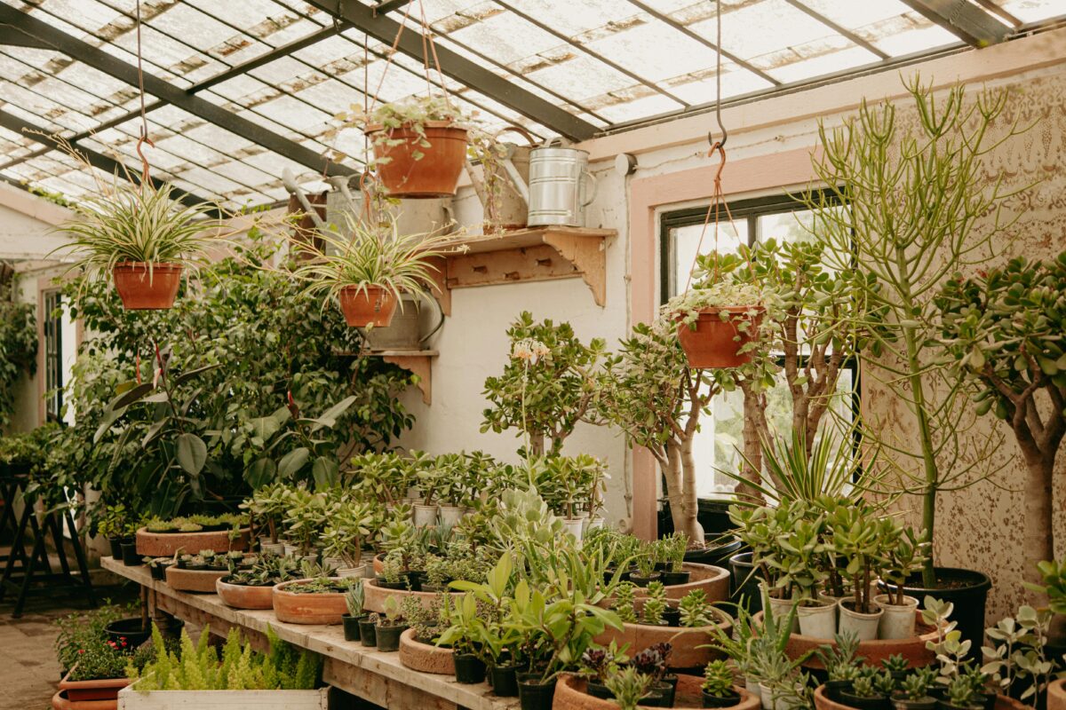 10 Creative Indoor Garden Ideas for Small Spaces