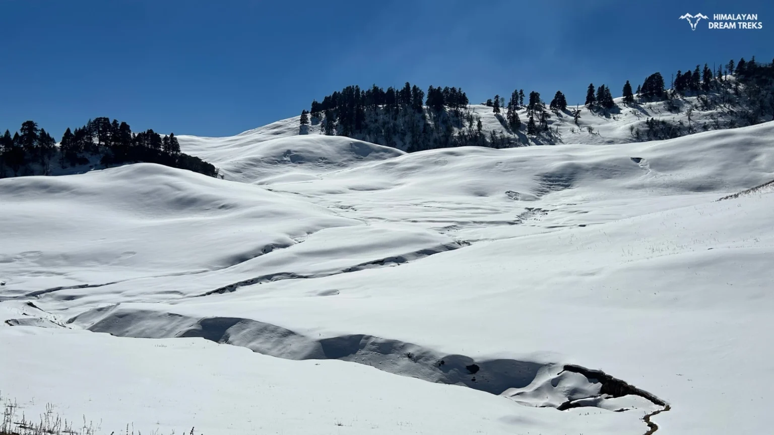 Snow-covered Dayara Bugyal in winter, a true adventurer’s paradise.