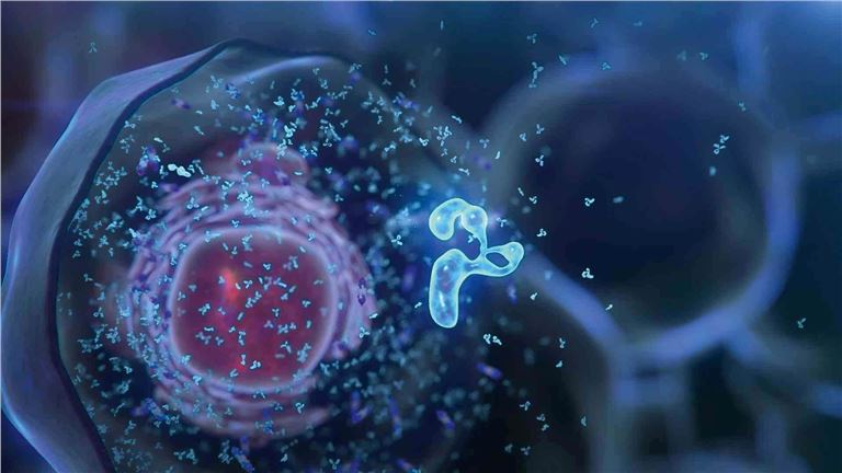 Recombinant Protein Expression