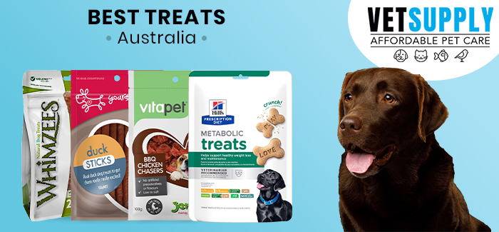 Best Dog Treats: Healthy & Tasty Rewards for Your Furry Friend