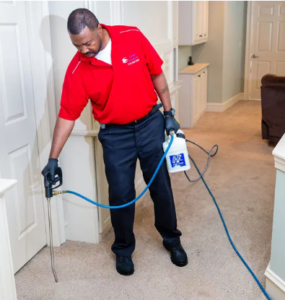 cleaning carpets