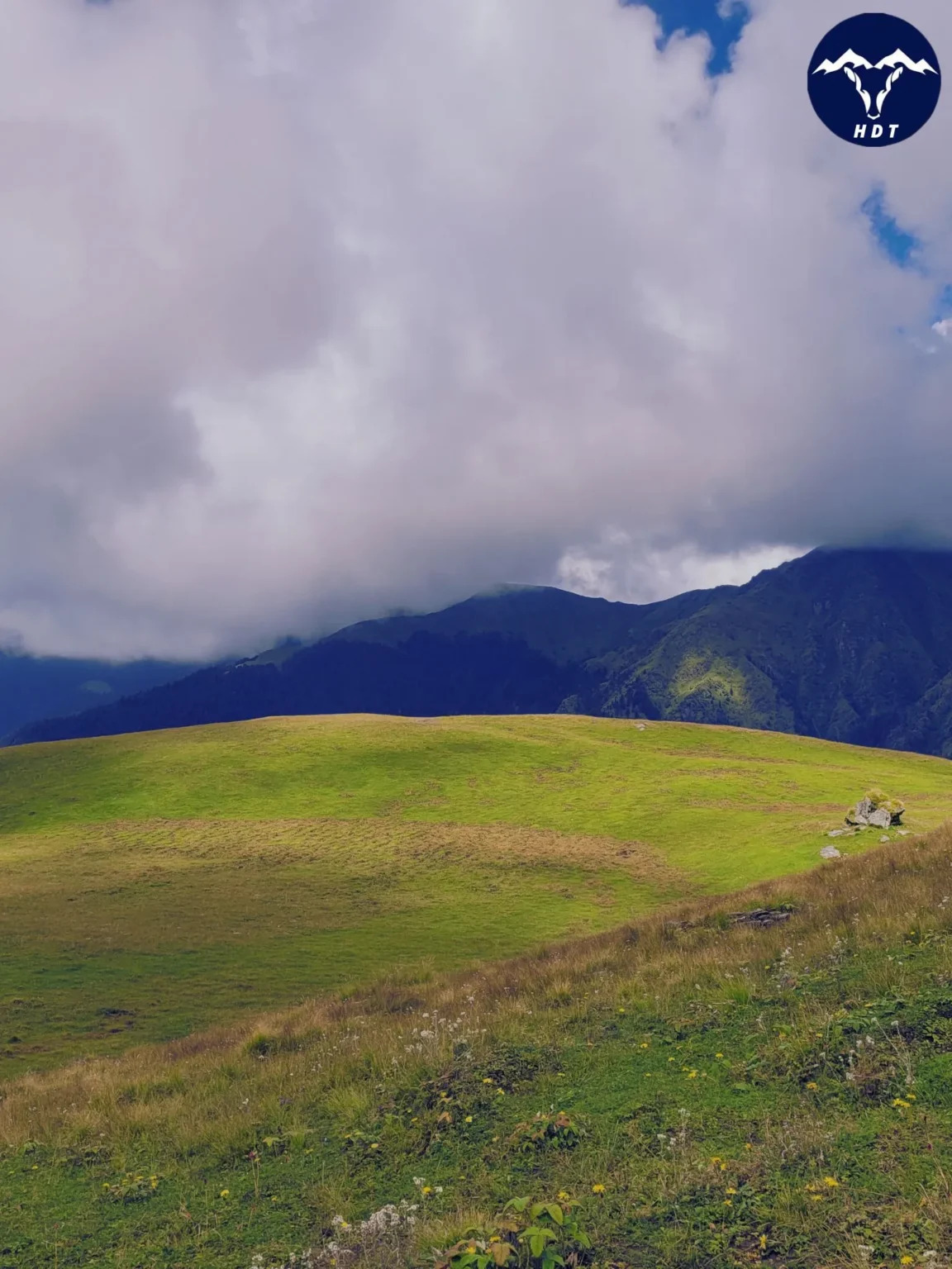 Trekking through lush green meadows