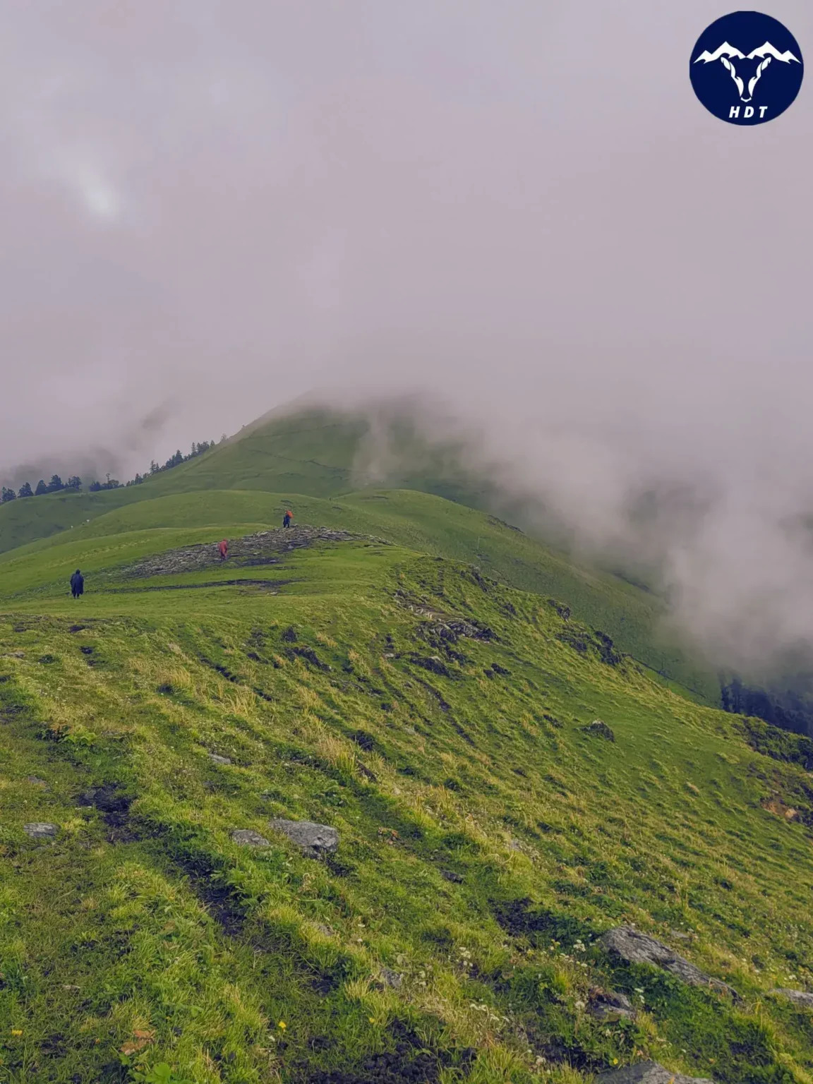 Ali Bedni Bugyal enveloped in mist, creating a mystical and serene atmosphere in the high-altitude meadows.