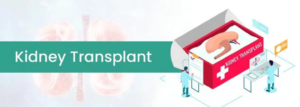 https://www.mejocare.com/kidney-transplant-cost-india