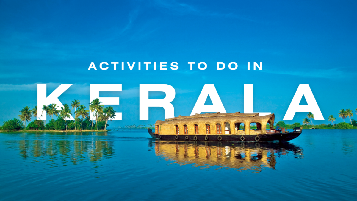 Don’t Miss These Kerala Activities: Your Day Trip Plan