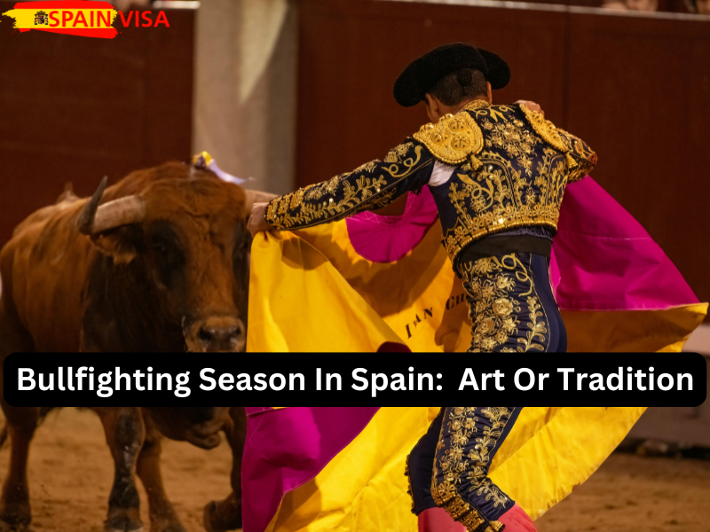 Bullfighting Season In Spain:     Art Or Tradition