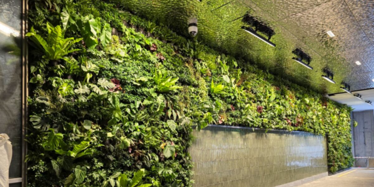 Green Wall Installation