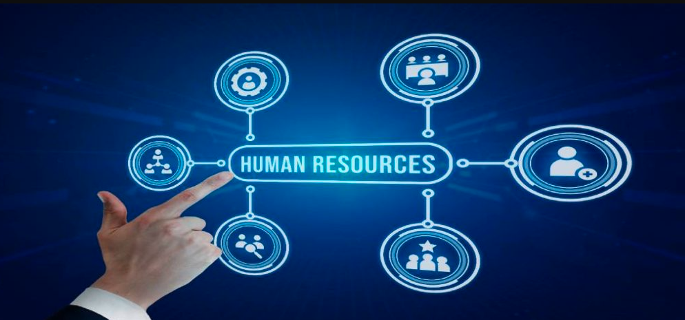 The Ultimate Guide to Human Resources Training Courses