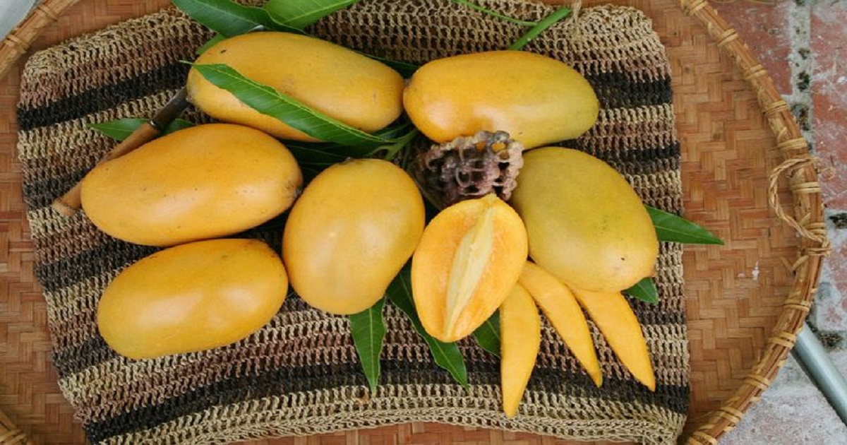 Pakistani Mango Price in Pakistan