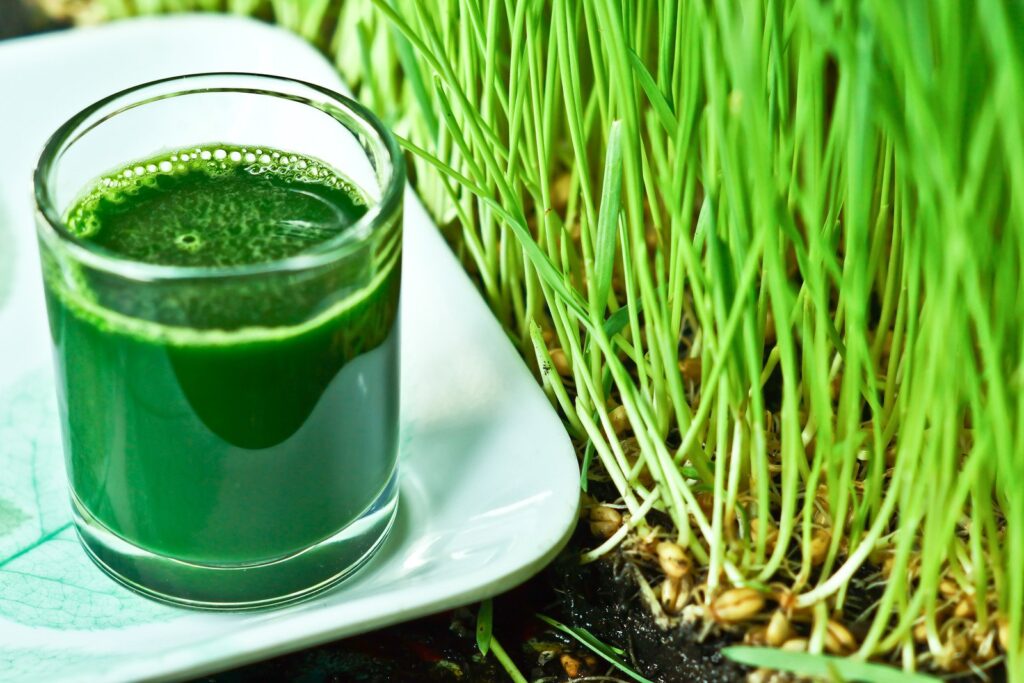 Wheatgrass Juice