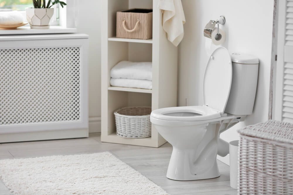 Blocked Toilets Devon: Fast & Affordable Solutions